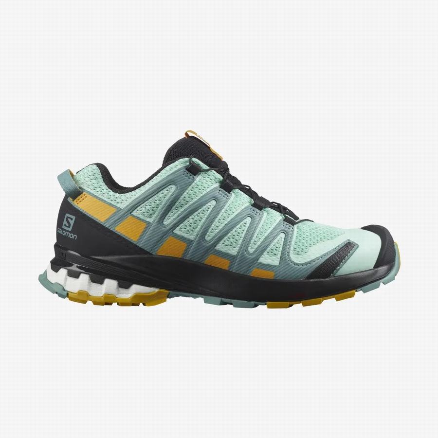 Salomon Xa Pro 3d V8 Παπούτσια Trail Running γυναικεια μεντα [FPI1828PY]